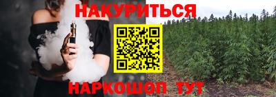 прущие крисы Гудермес