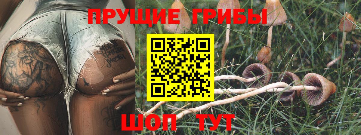Псилоцибиновые грибы мицелий Воткинск