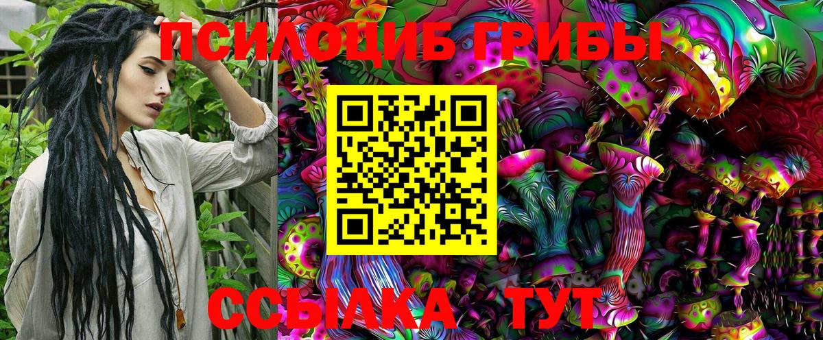 где купить наркоту  Галлюциногенные грибы Psilocybine cubensis  Вход с VPN  Воткинск 